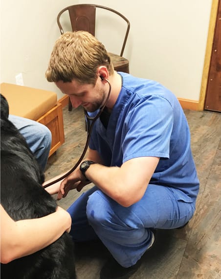 Grants Pass Veterinarian Dr. Brett Bemer