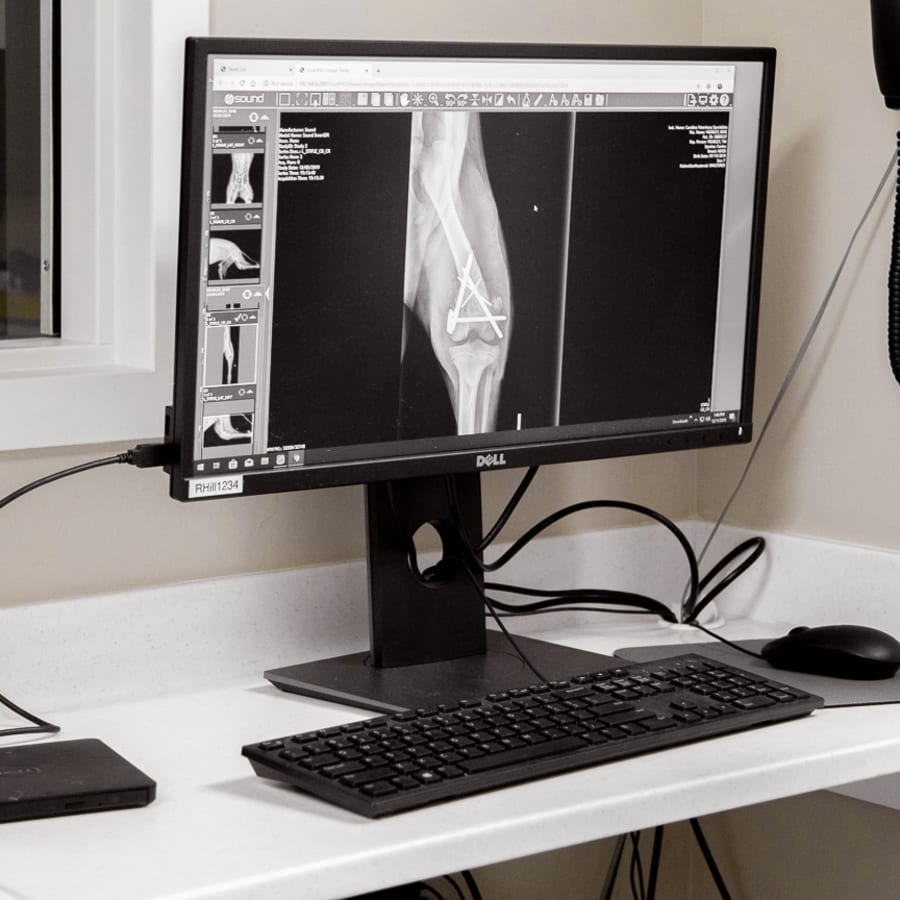 Vet Diagnostic & Lab Technology, Grants Pass - Animal X Rays